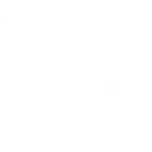 icon-phone-call-white